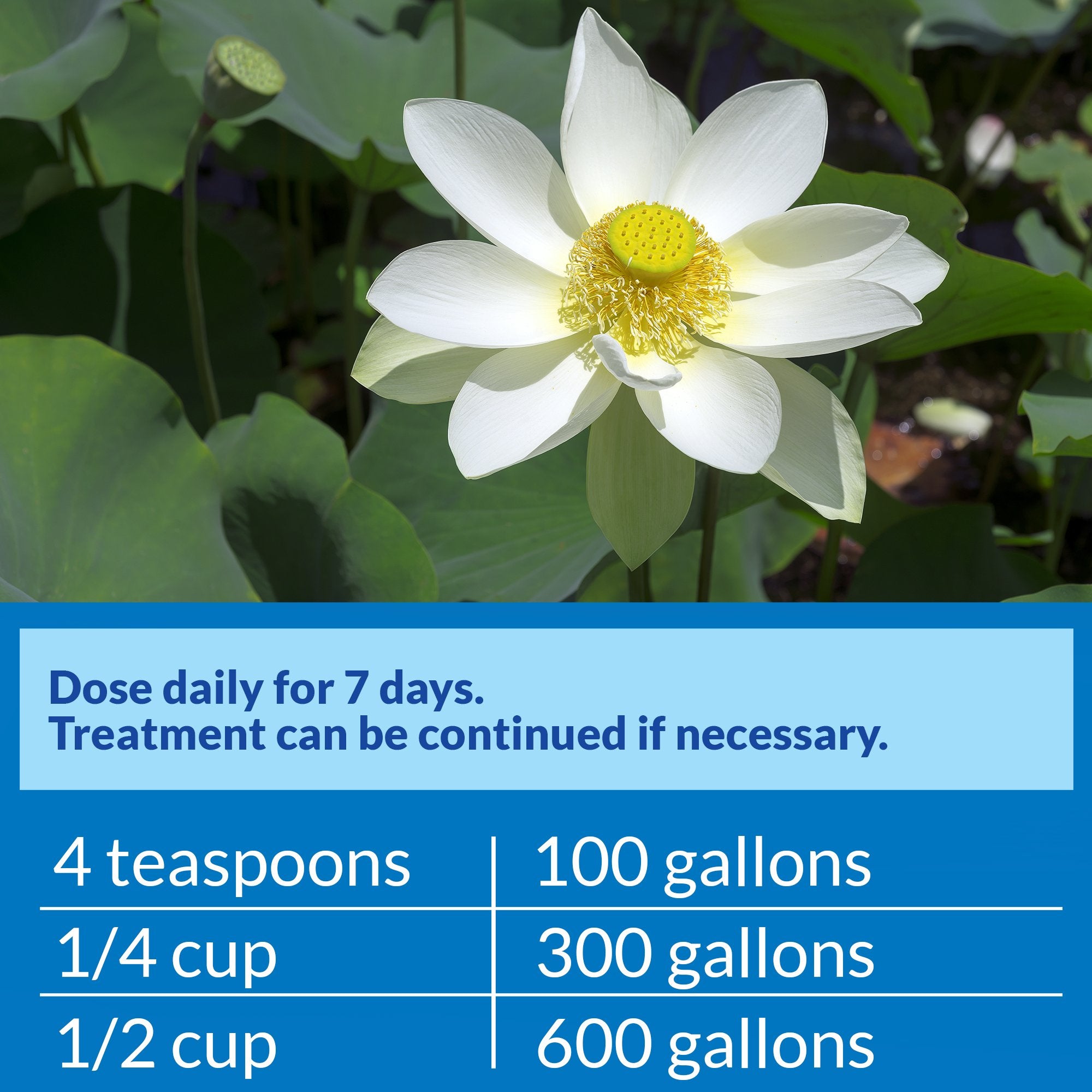 PondCare PimaFix Remedy for Koi & Goldfish (16 oz.)